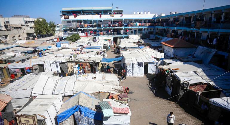 Gaza: ‘People losing hope’ as aid access is refused to north, warns UNRWA