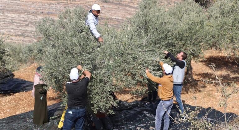 World News in Brief: Settler attacks in the West Bank, Madagascar hunger crisis, obesity in Europe