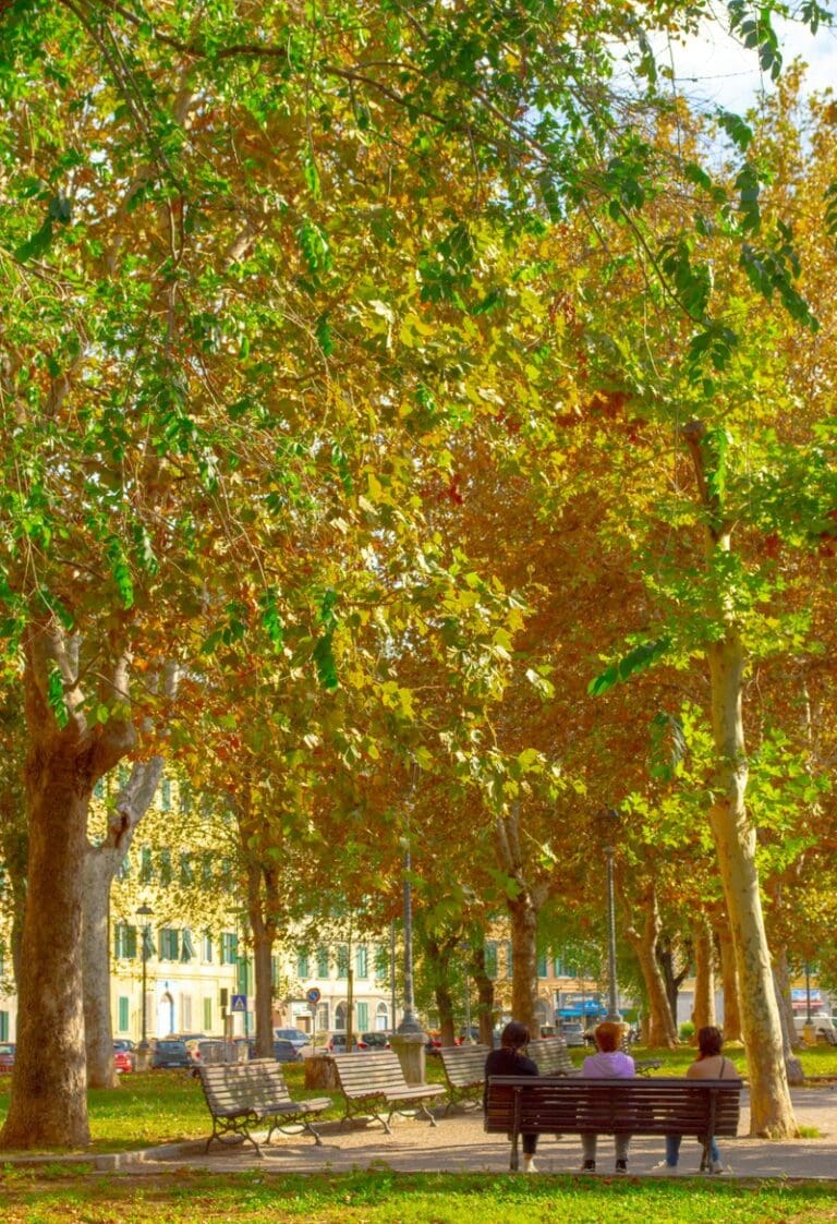 Europe’s adaptation policies advance, but stronger action is needed to address growing climate risks | Press releases