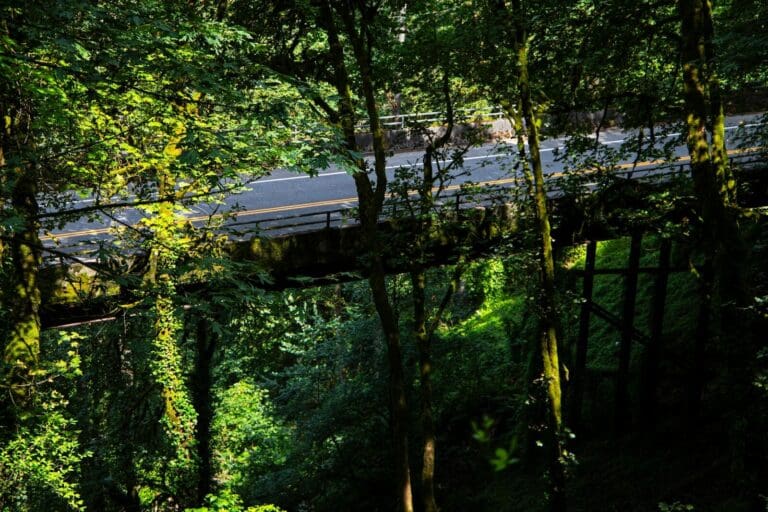 Social fairness key to success of the EU’s new ETS2 cap and trade system