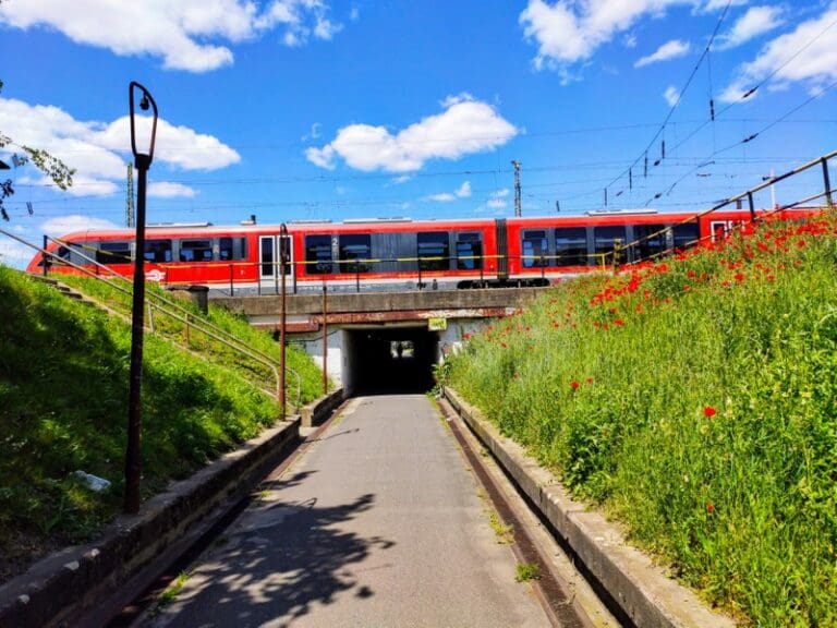 Rail offers a major opportunity for Europe to cut transport emissions, as road transport still dominates | Press releases