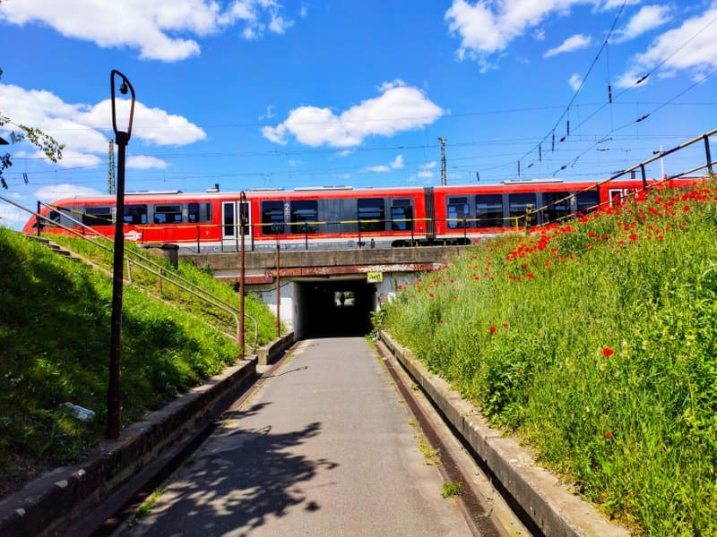 Rail offers a major opportunity for Europe to cut transport emissions, as road transport still dominates | Press releases