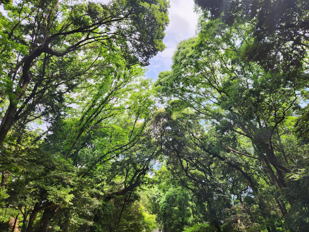 The Philosophy of Non-Growth Alternatives