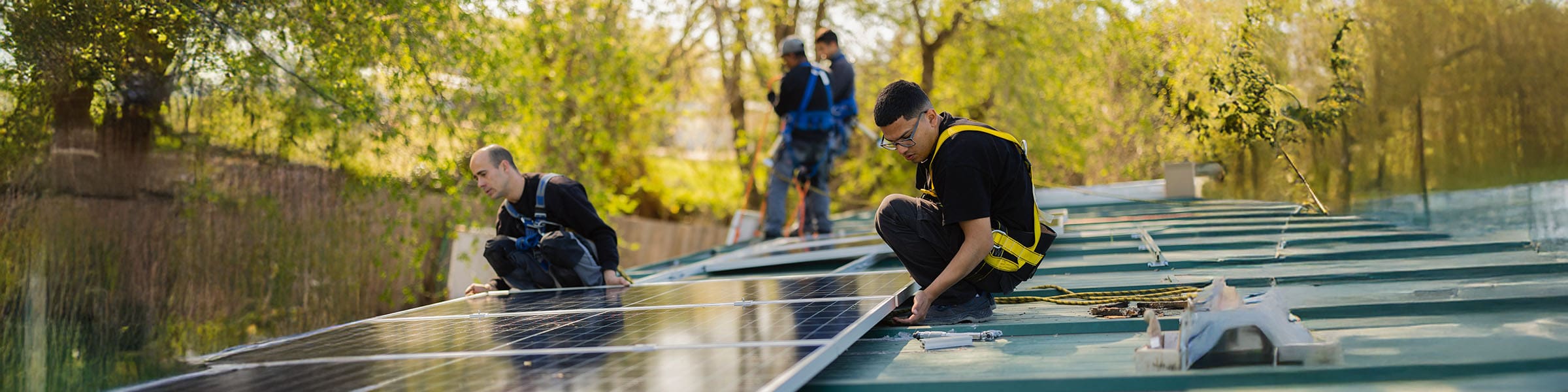 Energy app turns neighbours into local clean energy power players