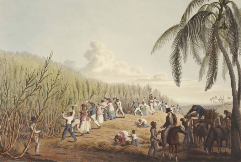 Colonial Imperialism – the Fundament of Inequalities