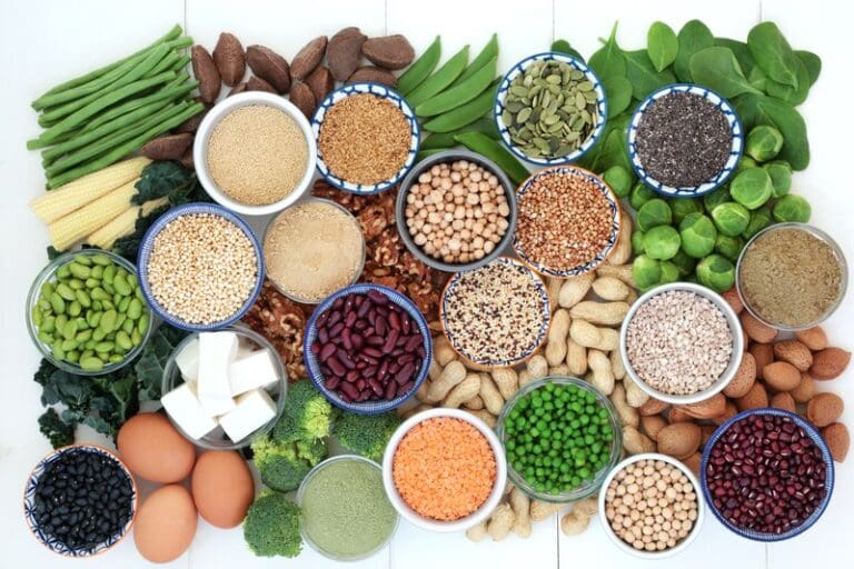 Diversifying Europe’s protein supply could cut emissions and reliance on imported feed | Press releases