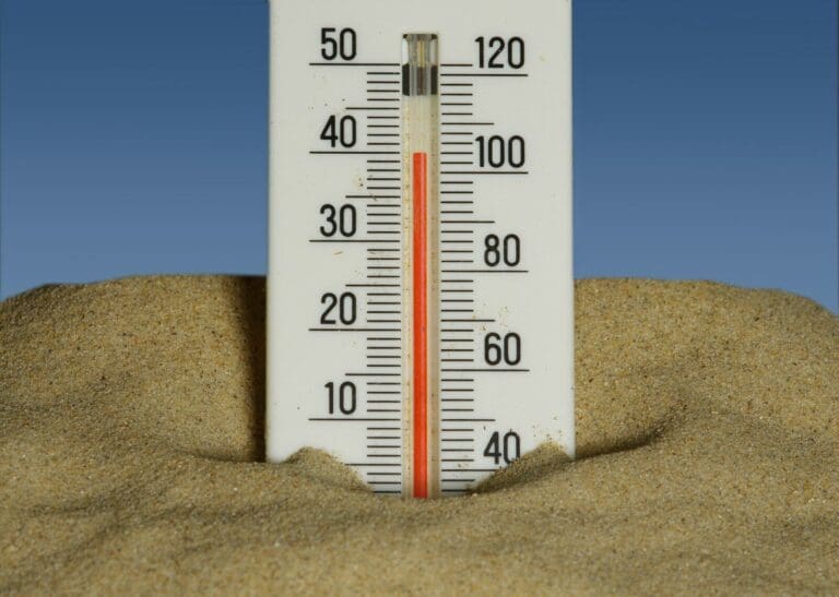 Western Europe’s Record Heat Demands Action